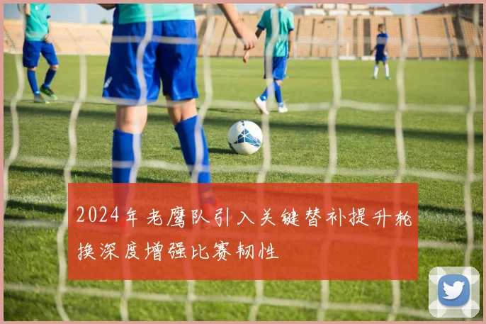 2024年老鹰队引入关键替补提升轮换深度增强比赛韧性