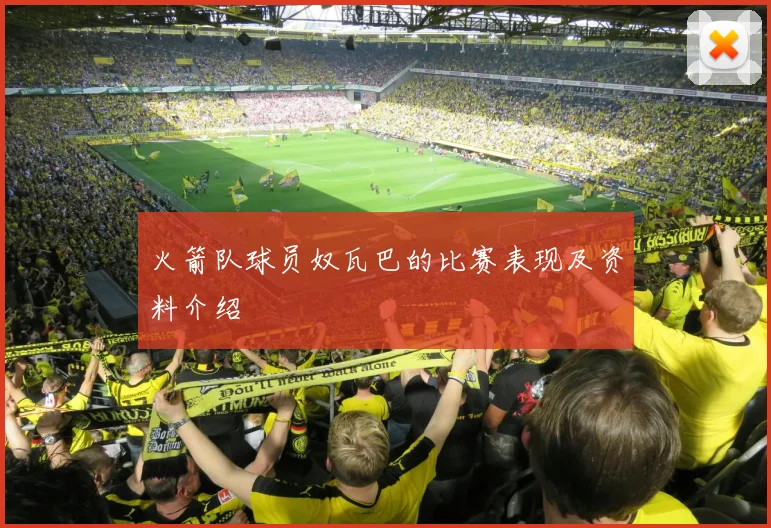 火箭队球员奴瓦巴的比赛表现及资料介绍