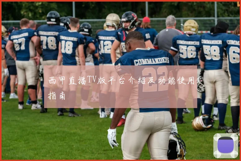 西甲直播TV版平台介绍及功能使用指南