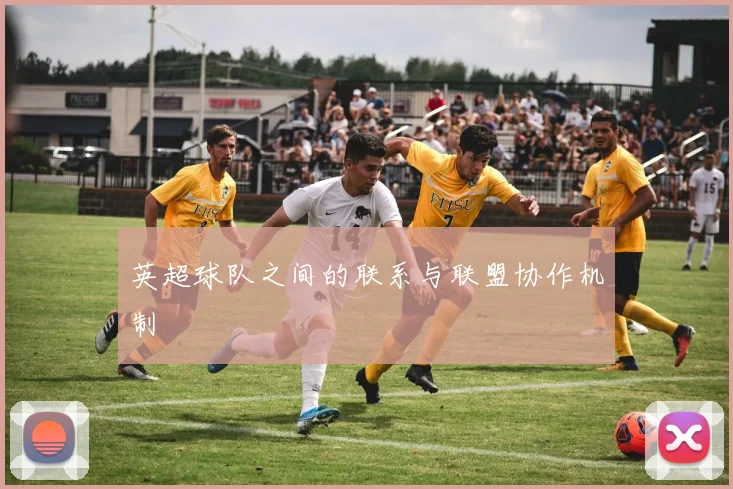 英超球队之间的联系与联盟协作机制