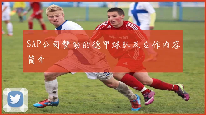 SAP公司赞助的德甲球队及合作内容简介