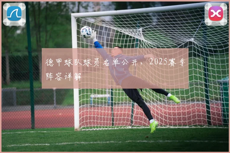 德甲球队球员名单公开，2025赛季阵容详解