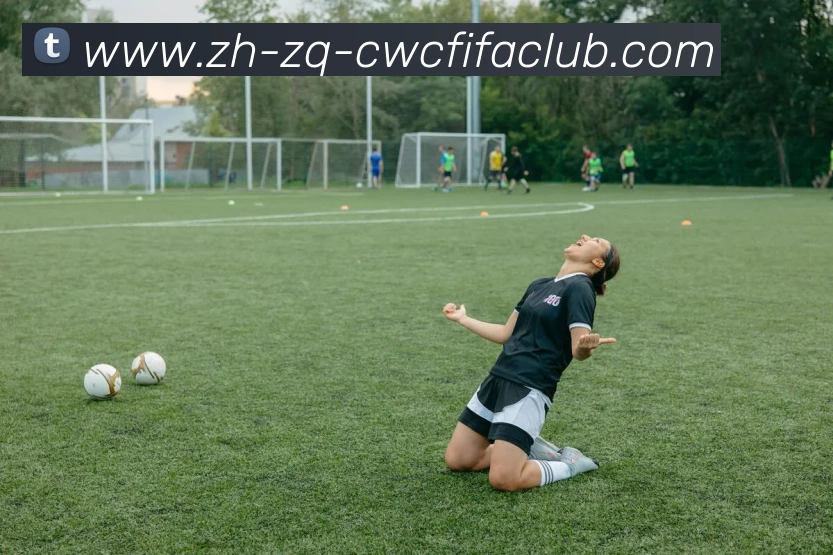 世界杯竞猜平台生态图