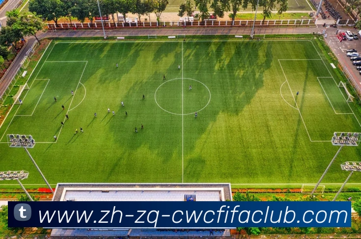 数据防护可视化