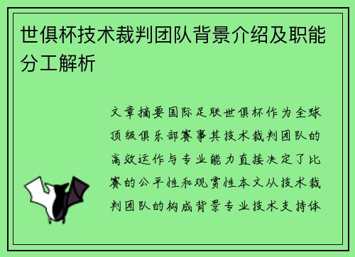 世俱杯技术裁判团队背景介绍及职能分工解析